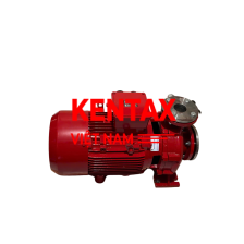 Máy bơm chữa cháy động cơ điện Kentax - Việt Nam 