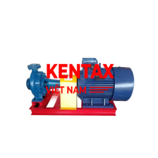 Bơm Điện Trục Rời 75kw động cơ TMX đầu bơm KenTax