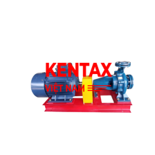 MÁY BƠM TRỤC RỜI KENTAX 