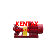 Bơm điện trục rời 75kw Động cơ TMX