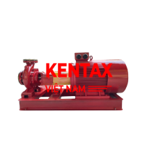 BƠM ĐIỆN TRỤC RỜI ĐỘNG CƠ PARMA 75KW