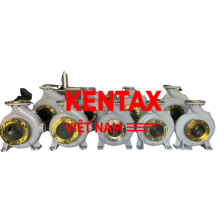 ĐẦU BƠM KENTAX